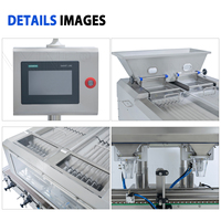 Machine de comptage automatique de capsules à 16 voies pour bonbons, vitamines, gommes et comprimés – Vente chaude