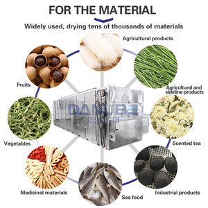 Máquina de Secado Continuo de Frutas con Malla de Acero Inoxidable, Secadora de Pulpa de Coco, Secadora de Coco Rallado - Product Image 4