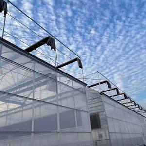 Kommerzielles Hydroponisches Gewächshaus mit Sainpoly PEP-Folie |   Erschwingliche Einlagige Struktur für Tomaten- und Landwirtschaft - Product Image 1