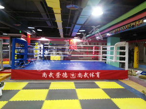 Offre Spéciale de boxe cage pas cher prix <span class=keywords><strong>MMA</strong></span> ANNEAU personnalisé en gros <span class=keywords><strong>ring</strong></span> de boxe Pour La gymnastique pour entraînement sportif - Product Image 2