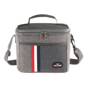 Custom Logo Waterproof small Insulated Thermal Food Box Delivery picnic Cooler Bag