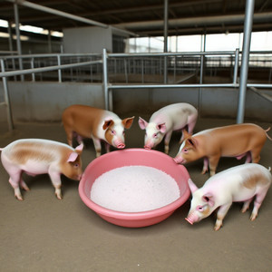 เบทาอีนสำหรับหมูทุกขั้นตอนการควบคุมโภชนาการเป็นที่ต้องการสำหรับการลดต้นทุนอาหารสัตว์ - Product Image 2