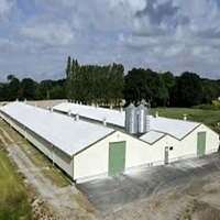 Bâtiment commercial économique en structure métallique pour élevage de poulets pondeuses, à vendre