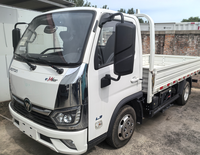 Camion léger électrique 4,5T, autonomie NEDC 101-200 km, moteur 200-250 kW, batterie 50-70 kWh, FOTON EMiler, garantie 1 an