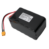 Batterie LiMn2O4 Cathode pour Drone FPV UAV Keeppower 6S3P 21700 25.2V 12Ah avec Connecteur XT60 INR21700-40P 500 Cycles -20-60