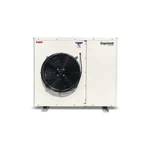 Sanye – unité de condensation personnalisée pour chambre froide, refroidie à l'air à haute température