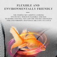 Filet à poissons moderne en plastique écologique de haute qualité avec emballage en boîte pour aquariums et bassins, plusieurs tailles