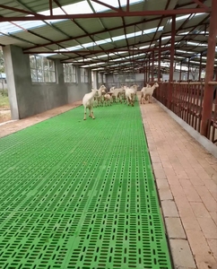 Pavimento a doghe In plastica per allevamento di capre In Pakistan, - Product Image 2