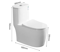 Design moderne Articles sanitaires en céramique One Piece Toilette à double chasse S-Trap Drainage pour salle de bain Vente en gros d'usine