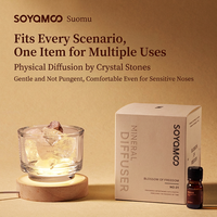 Diffuseur de parfum d'ambiance en pierre de cristal, ensemble de diffuseurs décoratifs en minéraux naturels pour la chambre à coucher
