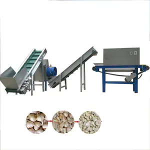 Linha de produção de alho automática, conjunto completo, inclui a máquina de processamento de descamação de limpeza de alho