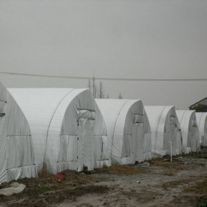 Serre à champignons à prix d'usine <span class=keywords><strong>2022</strong></span> - Product Image 2