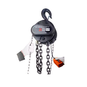 Hoge Kwaliteit Serie Elektrische Ketting Takel 10 <span class=keywords><strong>Ton</strong></span> Afstandsbediening Staal Materiaal 1 Jaar Garantie - Product Image 2