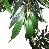 CHUANGFA Arbre de saule artificiel en plastique de 180 cm - Décoration de plantes écologique pour l'extérieur et l'intérieur