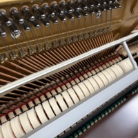Quality Young Chang Y121 Acoustic Piano Full Resonance Exquisite Craftsmanship Perfect for Practice and Training