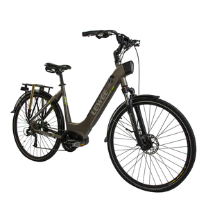 <span class=keywords><strong>2022</strong></span> NOUVEAU MODÈLE Offre Spéciale adulte 250w mi lecteur e montagne vélo électrique vélos - Product Image 6