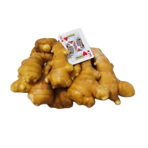 La nouvelle récolte de gingembre frais 150/250g offre l'exportation de gingembre jeune de Chine