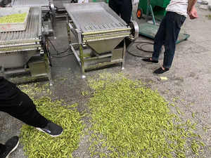 Desgranadora <span class=keywords><strong>de</strong></span> Guisantes Frescos Comercial, Máquina Industrial para Pelar Guisantes Verdes / Máquina Desgranadora <span class=keywords><strong>de</strong></span> Guisantes <span class=keywords><strong>de</strong></span> <span class=keywords><strong>Caballo</strong></span> / Máquina Desgranadora <span class=keywords><strong>de</strong></span> Guisantes <span class=keywords><strong>de</strong></span> Paloma - Product Image 4