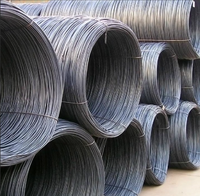 Fil d'acier inoxydable AISI 304/316 pour emboutissage à froid - Excellente résistance à la corrosion pour les fixations et écrous haut de gamme