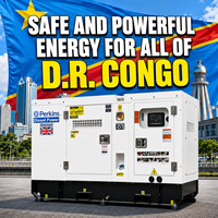 Generador Diésel para Congo 25kVA 30kVA 40kVA 50kVA Silencioso Trifásico Perkins Refrigerado por Agua 50/60Hz Directo de Fábrica