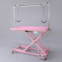 Table de toilettage pour animaux de compagnie électrique rose professionnelle avec prises de courant, table de toilettage pour chiens robuste