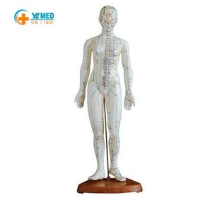 نموذج تعليمي طبي للوخز بالإبر للإناث بطول 48 سم مع نقاط الميريديان، مصنوع من البلاستيك PVC، معتمد من CE/ISO - Product Image 2