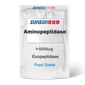 Food Grade Aminopeptidase Enzima Pó Aromatizantes Agentes para Melhorar a Proteína Sabores - Product Image 1