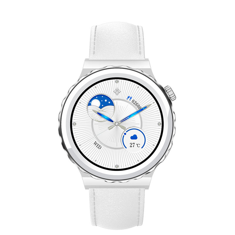 หนังแท้ -- เหล็ก