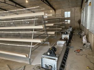 กรงเลี้ยงไก่ไข่แบบอัตโนมัติ ระบบป้อนอาหารอัตโนมัติ สำหรับฟาร์มไก่ไข่ แบบกรงแบตเตอรี่  ชนิด A พร้อมระบบทำความสะอาดมูลไก่แบบหมุนมือ  มีจำหน่าย - Product Image 3