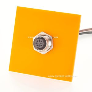 Câble <span class=keywords><strong>de</strong></span> connecteur M12 4 broches PROFINET IP67 panneau étanche filetage <span class=keywords><strong>de</strong></span> ligne <span class=keywords><strong>de</strong></span> prise avant/arrière M12 code D 4 broches femelle avec <span class=keywords><strong>fil</strong></span> <span class=keywords><strong>de</strong></span> 20CM - Product Image 4