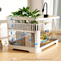 Aquarium carré à filtration latérale avec design éco-paysager et circulation d'eau, pas besoin de changements fréquents d'eau