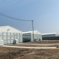 Structure en acier galvanisé sur mesure conçue pour les fermes avicoles