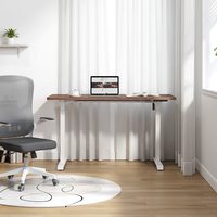 Bureau assis-debout électrique professionnel pour e-commerce, à moteur unique, réglable en hauteur, avec plateau de table