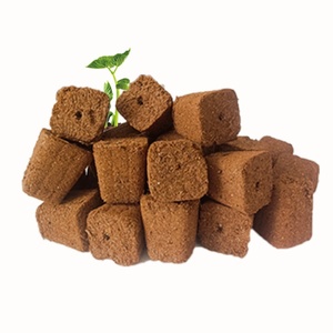 1500 unidades de esponjas de cultivo de turba de coco, mini material de suelo de turba de coco para iniciación de cultivo, para vegetales y agricultura, 50 celdas - Product Image 1