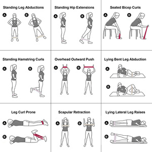 Fasce Elastiche TPE 3 Pezzi per Allenamento di Forza, Yoga, Fisioterapia, Stretching, Supporto Personalizzato per Fitness Domestico - Product Image 4