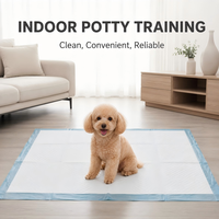 Almohadillas de Entrenamiento para Perros de Alta Resistencia y Ecológicas con Núcleo de Pulpa Fluffy SAP de Absorción Rápida y Revestimiento Impermeable IPX7, Suministro al por Mayor OEM