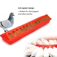 Mangeoire à pigeons, cailles et volailles en plastique YCZ, vente chaude, 28/20/16 trous, mangeoire pour poussins