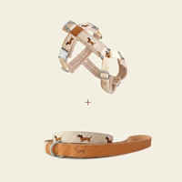 Harnais pour chien en néoprène de luxe, robuste, réglable, design personnalisé pour teckel avec broderie