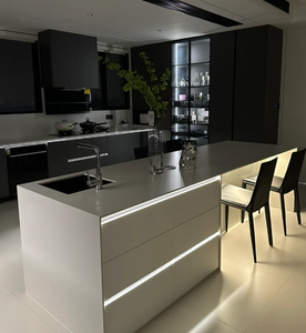 Ensemble de meubles de cuisine modernes de luxe 2025 à conception ouverte, avec réfrigérateur compact et plan de travail en aggloméré, idéal pour les restaurants et le stockage à chaud. - Product Image 6