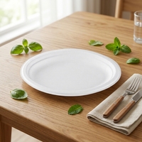 Platos Desechables Clásicos de Bagazo Compostables y Degradables de 12 Pulgadas, Ovalados, Sin Plástico, Directo de Fábrica, para Restaurantes