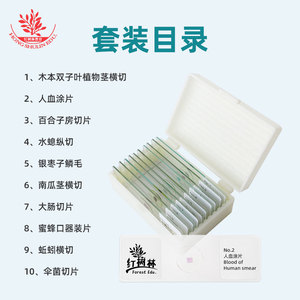 สไลด์ตัวอย่างสำหรับกล้องจุลทรรศน์ 10 ชนิด รวมถึงสไลด์ตรวจคราบเลือดมนุษย์ ใช้สำหรับสไลด์สังเกตการณ์ในวิชาวิทยาศาสตร์ของนักเรียน - Product Image 5