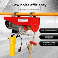 Nouvelle treuil électrique à câble en aluminium Wei Li 100kg 200kg 5T avec télécommande sans fil, vitesse 6m/min, capacité 15kg pour la construction