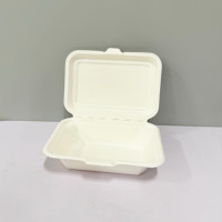 Boîte en canne à sucre étanche, service OEM, étanche pour les plats à emporter, compostable, qualité alimentaire, utilisation en restaurant avec couvercle, utilisation en restaurant C888