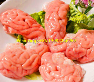 Cortadora Hidráulica <span class=keywords><strong>para</strong></span> Dividir Cabezas <span class=keywords><strong>de</strong></span> Ganado/Máquina <span class=keywords><strong>para</strong></span> Cortar Cabezas <span class=keywords><strong>de</strong></span> Ganado por la Mitad/Máquina Industrial <span class=keywords><strong>para</strong></span> Cortar Cabezas <span class=keywords><strong>de</strong></span> Cerdo por la Mitad en Oferta - Product Image 6