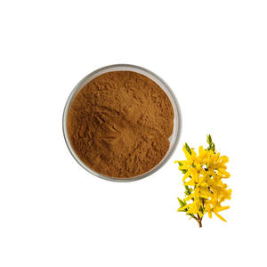 <span class=keywords><strong>Fructus</strong></span> Forsythiaeエキス95% <span class=keywords><strong>Fructus</strong></span> Forsythiaeエキス3% Phillyrin粉末 - Product Image 2