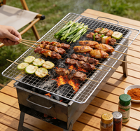 Plaque de cuisson jetable, résistante aux hautes températures et à la corrosion, pas besoin de nettoyage, extrêmement pratique pour une utilisation en extérieur.