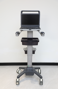 Ecógrafo Médico Portátil, Ultrasonido Doppler Color, Máquina de Ultrasonido Veterinario - Product Image 4