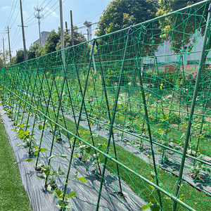 Piquets de <span class=keywords><strong>support</strong></span> pour plantes en acier et métal revêtus de plastique PE de <span class=keywords><strong>jardin</strong></span> durables Cage à tomates et <span class=keywords><strong>support</strong></span> pour plantes grimpantes - Product Image 6
