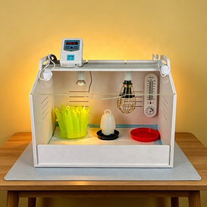 <span class=keywords><strong>Incubadora</strong></span> Comercial con Control de Temperatura para la Cría de Pollitos, Codornices, Patos y Gansos - Product Image 4