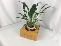 Boîte à fleurs pour vase vivant entièrement imprimée personnalisée boîtes d'emballage de fleurs pour bouquets de plantes boîte de fleuriste